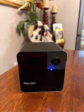 HD Pet Camera – Black - LIVE STREAMING - RECORD & SAVE ALL VIDEO - NWOT